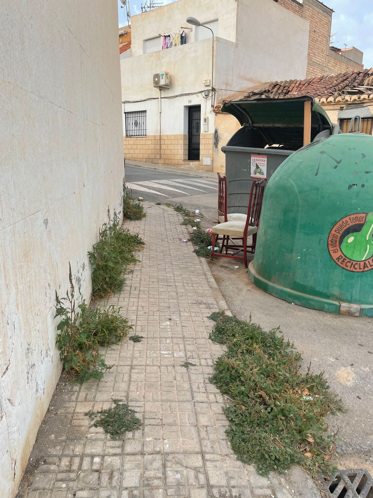 El PSOE denuncia la proliferación de matas y hierbas en todas las calles de Las Angustias